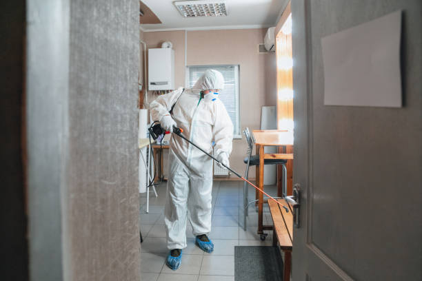 Best Airborne Mold Testing  in Pea Ridge, FL