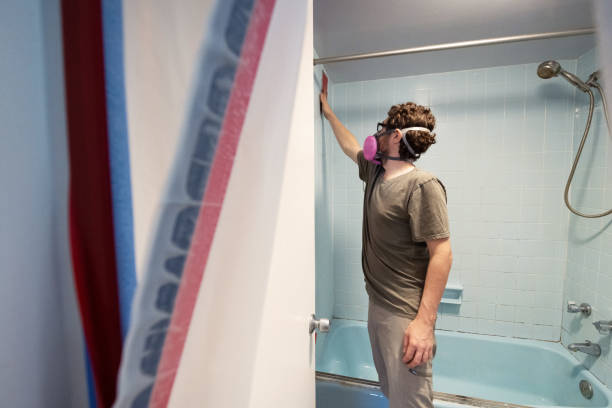  Pea Ridge, FL Mold Removal Pros