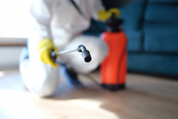 Best Mold Remediation for Healthcare Facilities  in Pea Ridge, FL