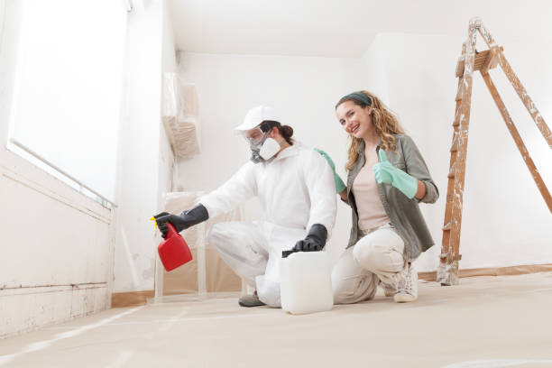 Mold Documentation for Insurance Claims in Pea Ridge, FL